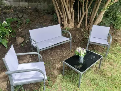 Giardino di casa del sambuco
