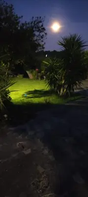 Planimetria di casa del sambuco