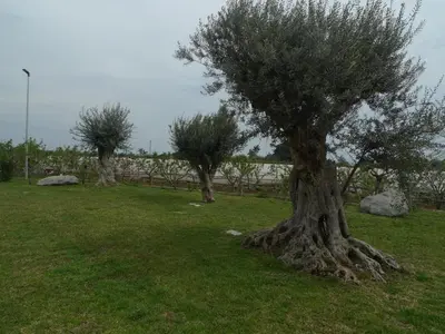 Paesaggio naturale nelle vicinanze dell'agriturismo