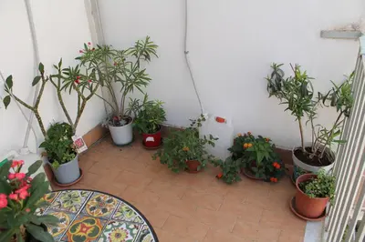 Giardino di B&B Domus Pina