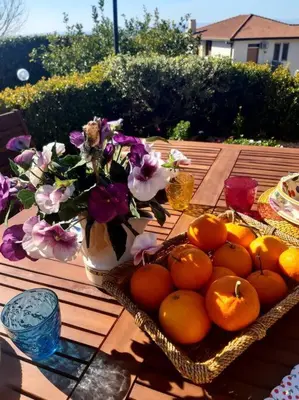 Cibo presso l'appartamento o nelle vicinanze