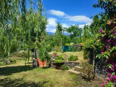 Giardino di Alberto's Mt.Etna B&B