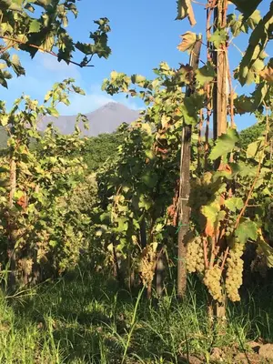 Paesaggio naturale nelle vicinanze del bed & breakfast