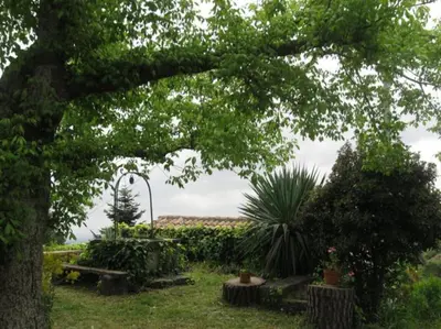 Giardino di Wine House 1850
