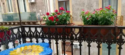 Balcone o terrazza di APPARTAMENTO a CENTRO STORICO DI CATANIA