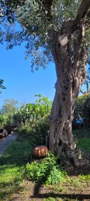 Giardino di Timpabella House
