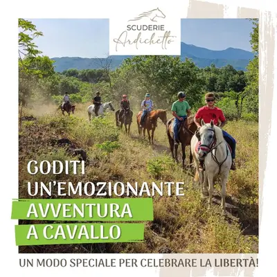 Altri animali domestici presso il bed & breakfast o nei dintorni