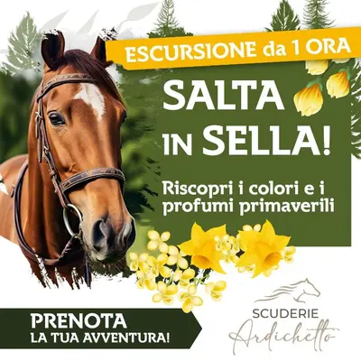 Altri animali domestici presso il bed & breakfast o nei dintorni