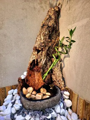 Planimetria di Giangi’s Garden
