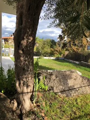 Paesaggio naturale nelle vicinanze della casa vacanze