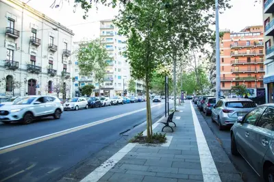 Il quartiere o una zona nella vicinanze dell'affittacamere