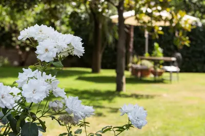 Giardino di Villa Giovanna