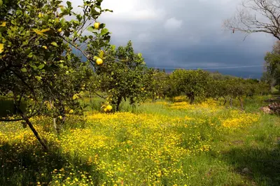 Paesaggio naturale nelle vicinanze dell'agriturismo