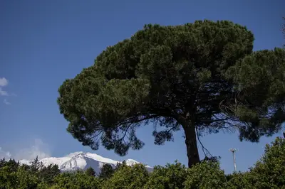 Paesaggio naturale nelle vicinanze dell'agriturismo