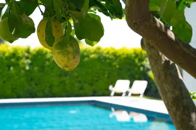 Piscina di Etna Bike Holiday o nelle vicinanze