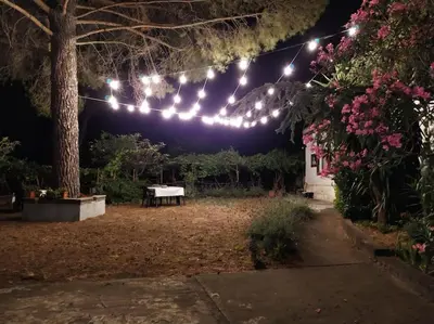 Giardino di Tenuta SGB Villa Il profumo del vino Etna Nicolosi