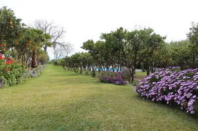 Giardino di Terre del Cardinale Country Suites
