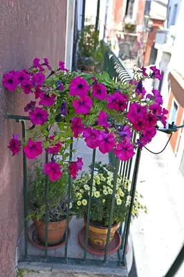 Giardino di La Ciriciccia