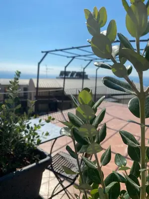 Paesaggio naturale nelle vicinanze della casa vacanze