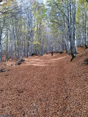Paesaggio naturale nelle vicinanze della casa vacanze