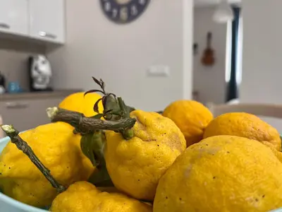 Cibo presso l'affittacamere o nelle vicinanze