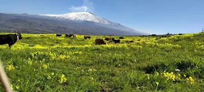 Paesaggio naturale nelle vicinanze dell'appartamento