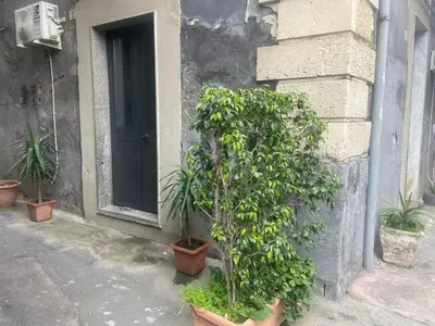 Planimetria di Baiocco house