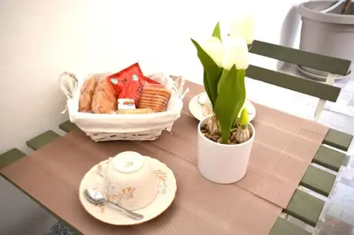 Cibo presso l'appartamento o nelle vicinanze