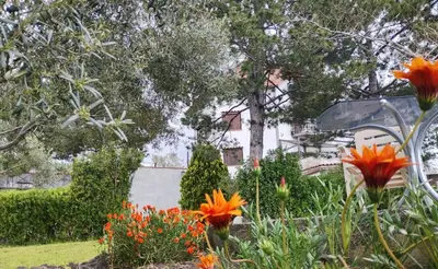 Giardino di Villa joele