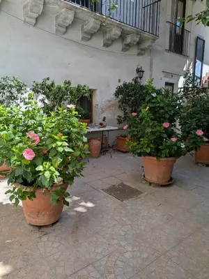 Giardino di Bellini Space 3