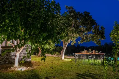 Giardino di Giardino degli Avocadi