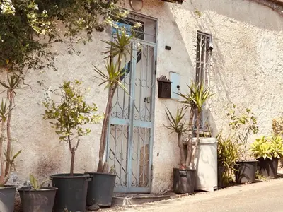 Giardino di Sicily Summer