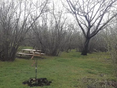 Paesaggio naturale nelle vicinanze della casa vacanze