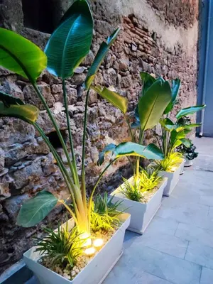 Giardino di Morgana Luxury Apartment