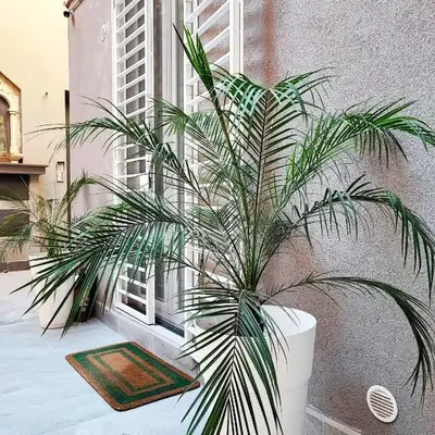 Morgana Luxury Apartment