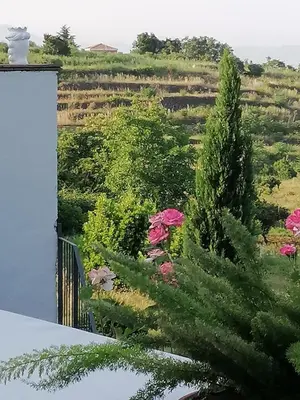 Paesaggio naturale nelle vicinanze of country house