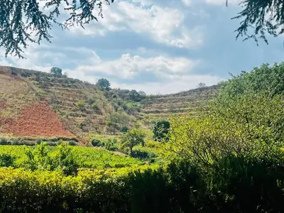 Paesaggio naturale nelle vicinanze dell'affittacamere