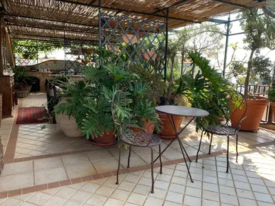 Giardino di Terrazza Pavone