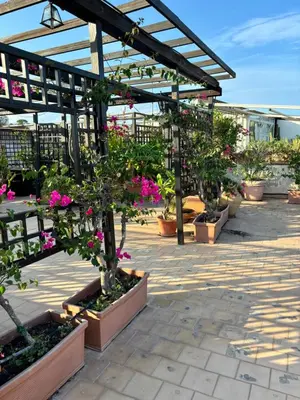 Giardino di Appartamento Mediterraneo
