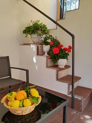 Planimetria di Vico Si cu ro