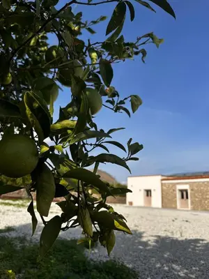 Edificio in cui si trova il campeggio