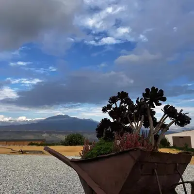 Agriturismo del Nonno