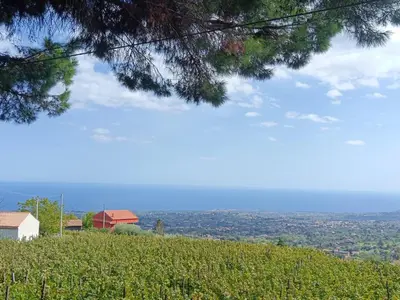 Paesaggio naturale nelle vicinanze della villa