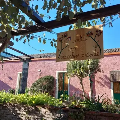 Codavolpe giardino di tea