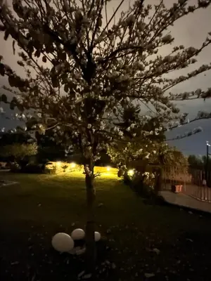 Giardino di La Casetta di Lollò