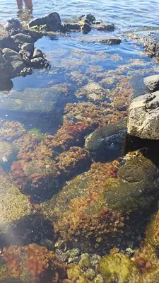 Paesaggio naturale nelle vicinanze dell'appartamento