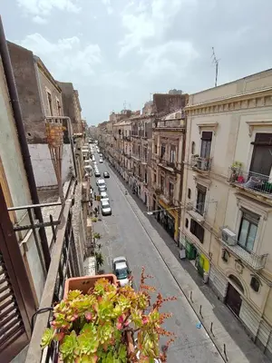 Il quartiere o una zona nella vicinanze della casa vacanze