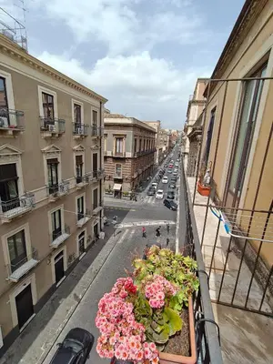 Il quartiere o una zona nella vicinanze della casa vacanze