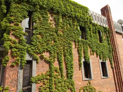 Giardino di Relais Chiesa Madre - Rooms and Apartments
