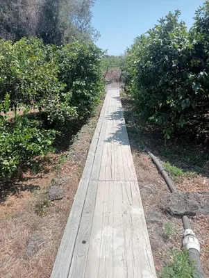 Planimetria di La dimora sullo jonio
